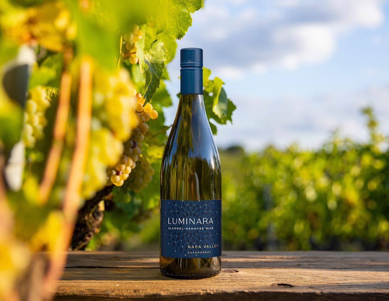 bottle of luminara alcohol removed chardonnay in front of a beautiful vineyard