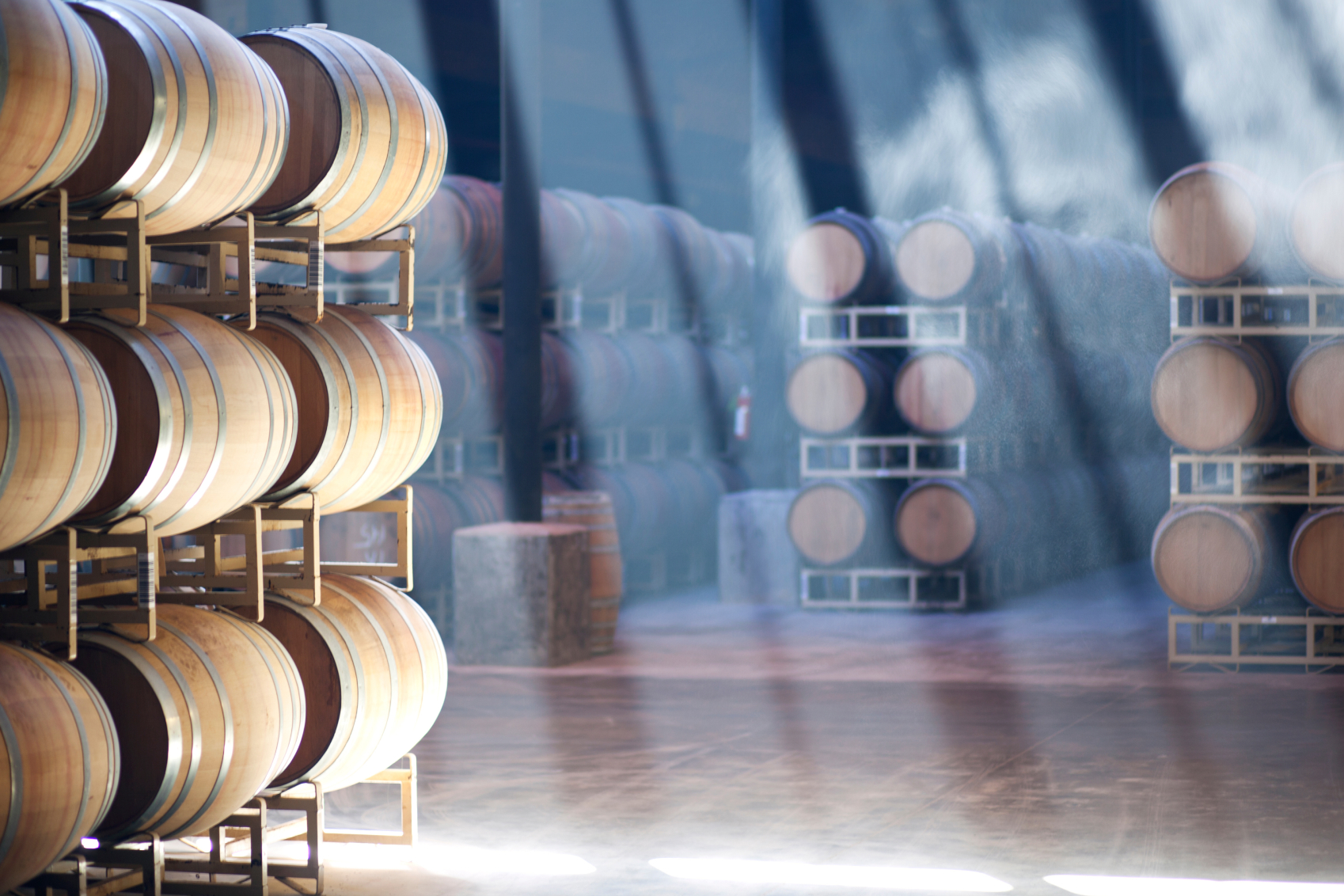 Pillars of light shining through the barrel room of Terra d'Oro winery