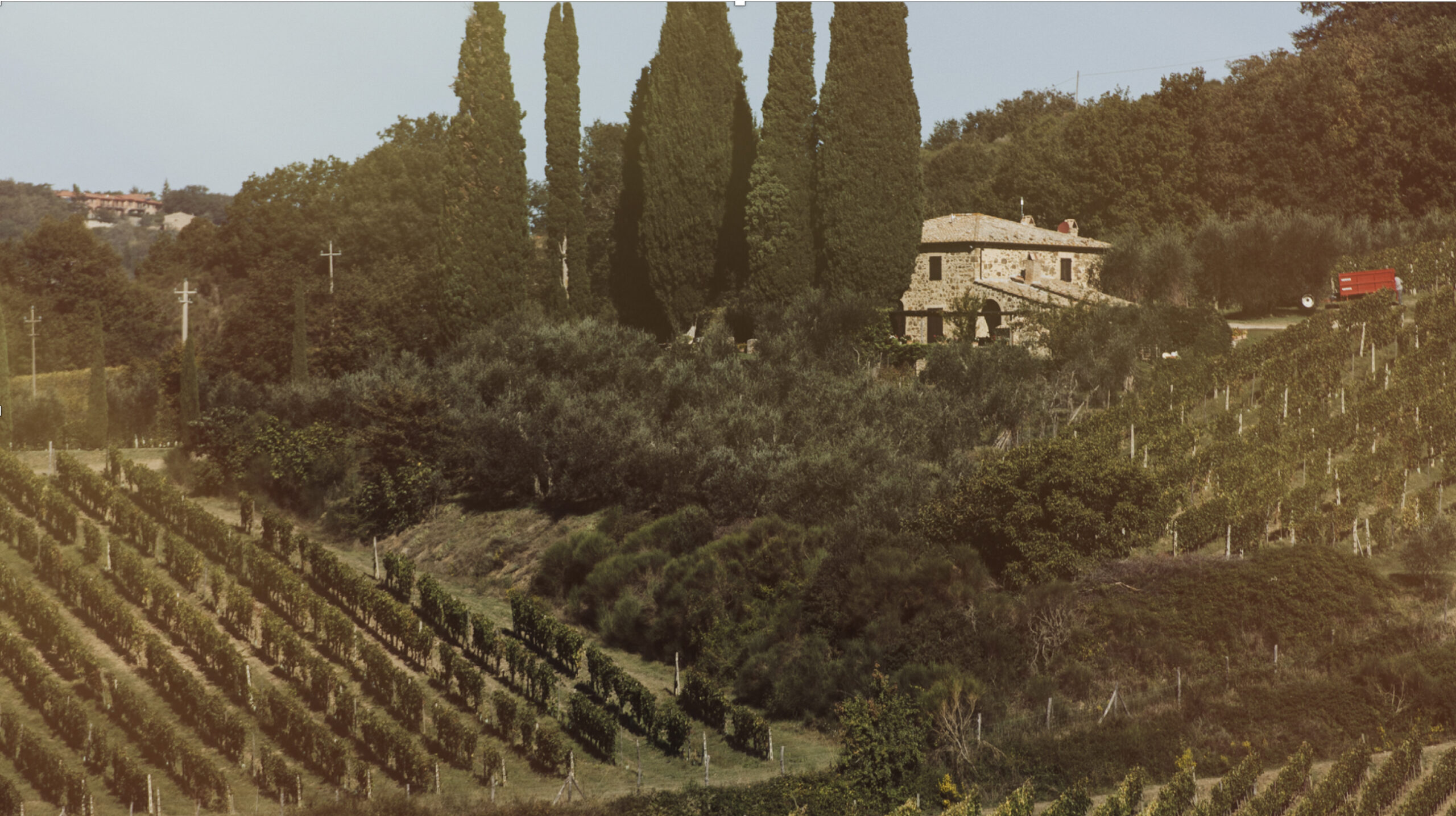 Main building of Cotarella winery surrounded by tall trees and lush green, rolling hills of vineyards