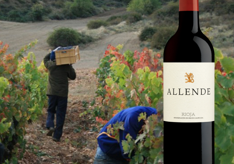 Allende wines
