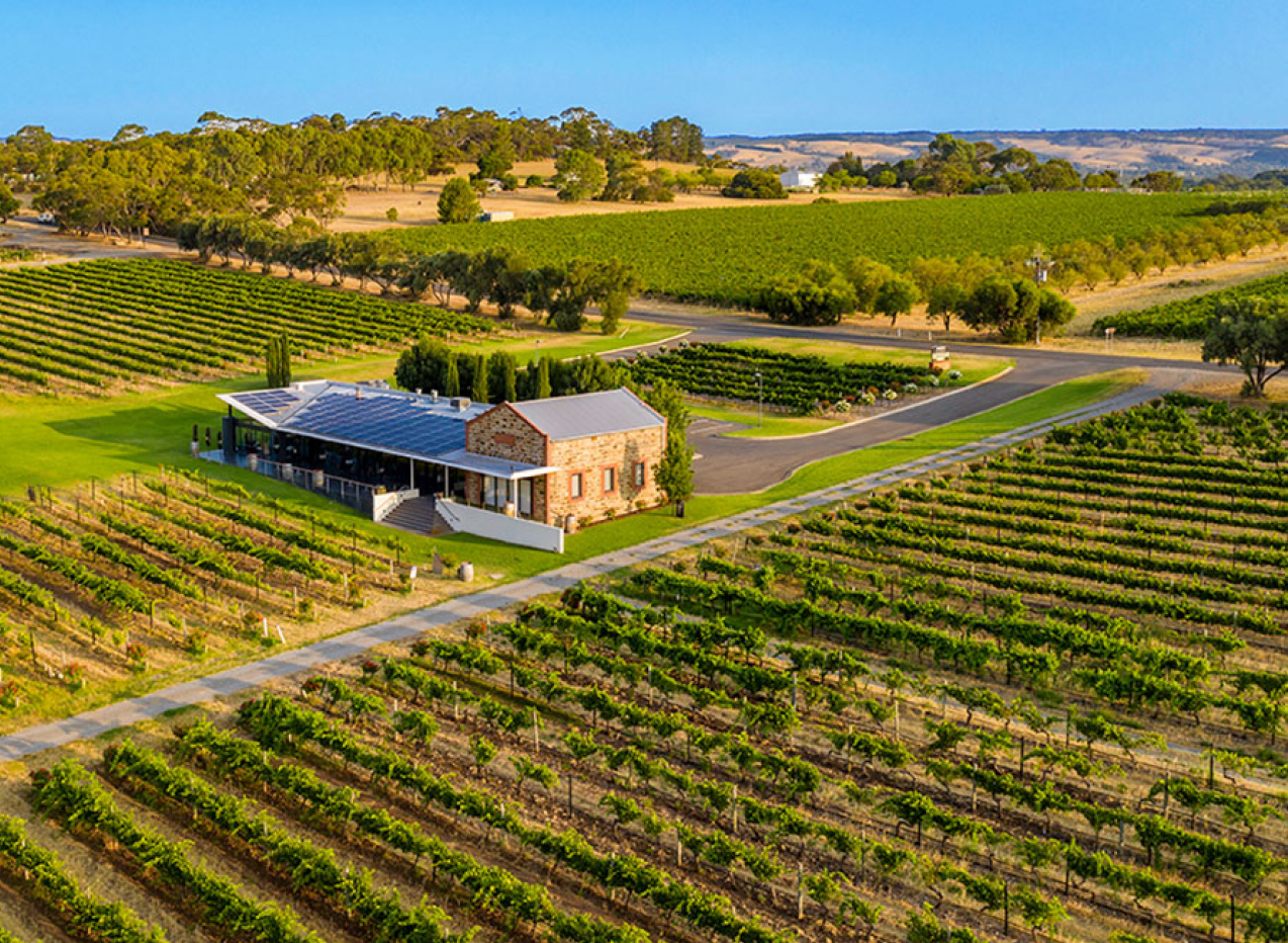 Australia vineyard