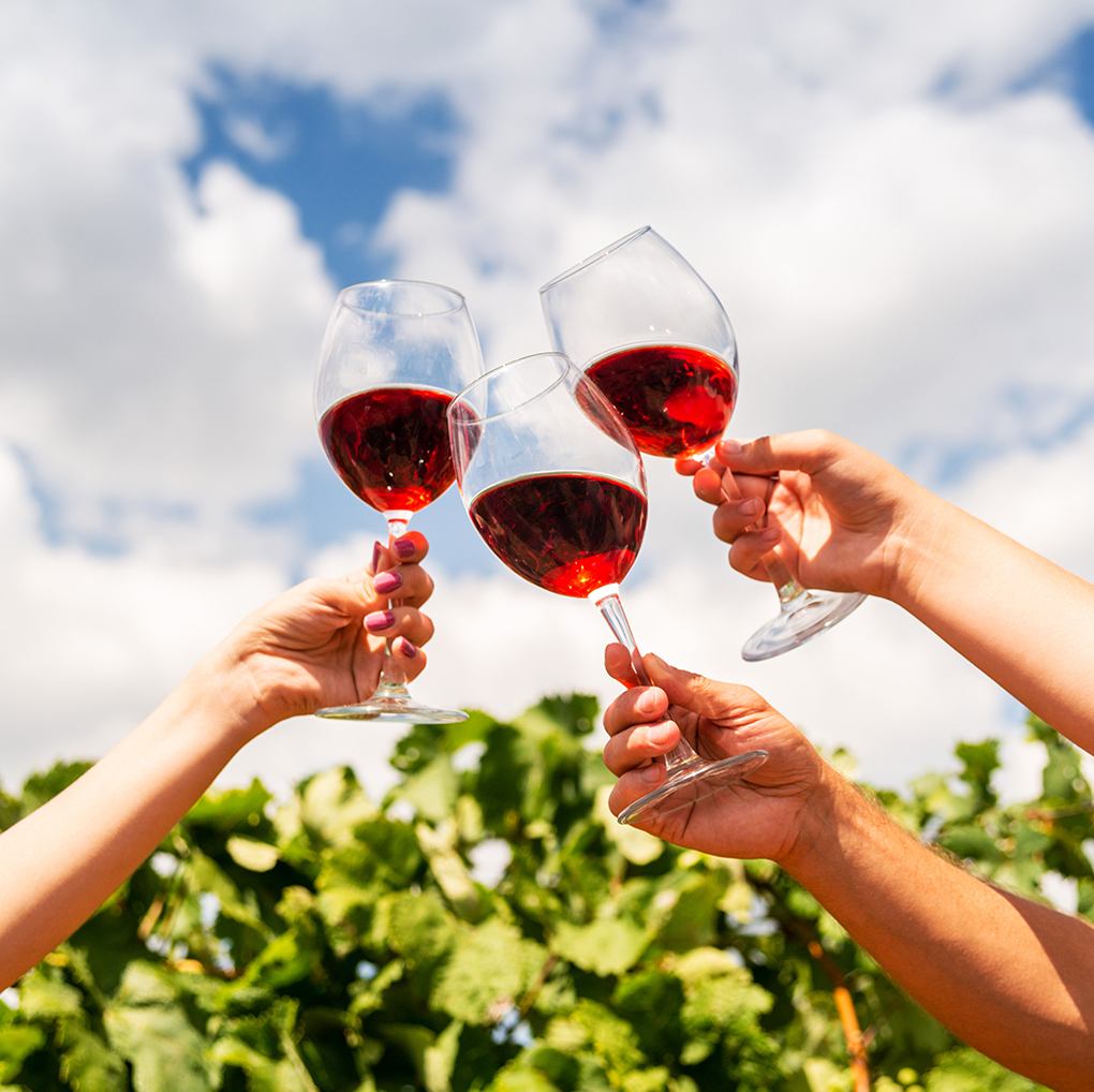 people cheersing glasses of wine outside