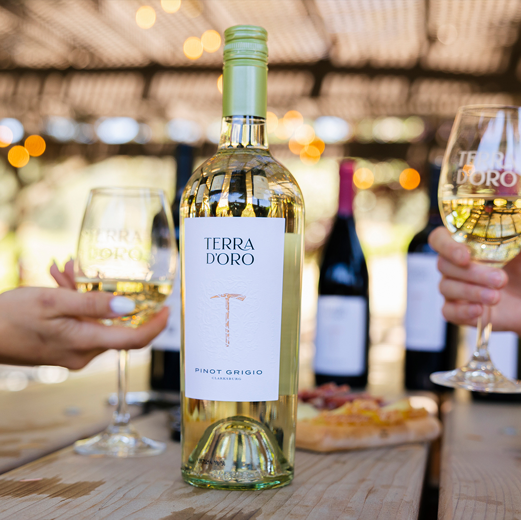 Bottles of Terra d'Oro wine outdoors at their tasting location