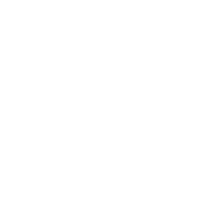 Quattro Theory