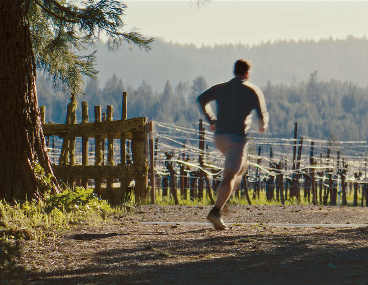 Outlier wines winemaker Derek Rohlffs running through the vineyard with tall trees in the background