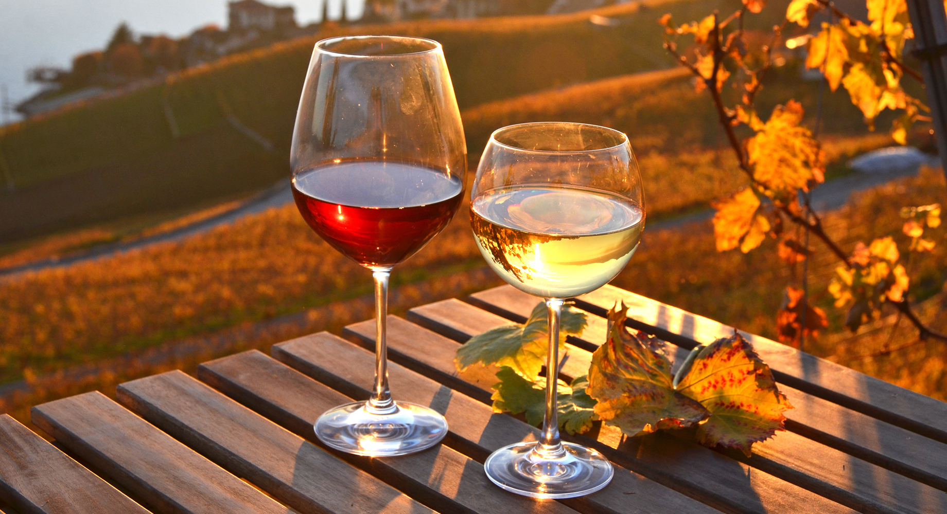 Buy Wines Online One Stop Wine Shop Wine Delivery