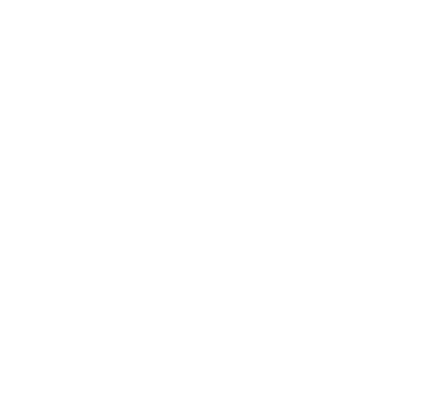 Vall Llach