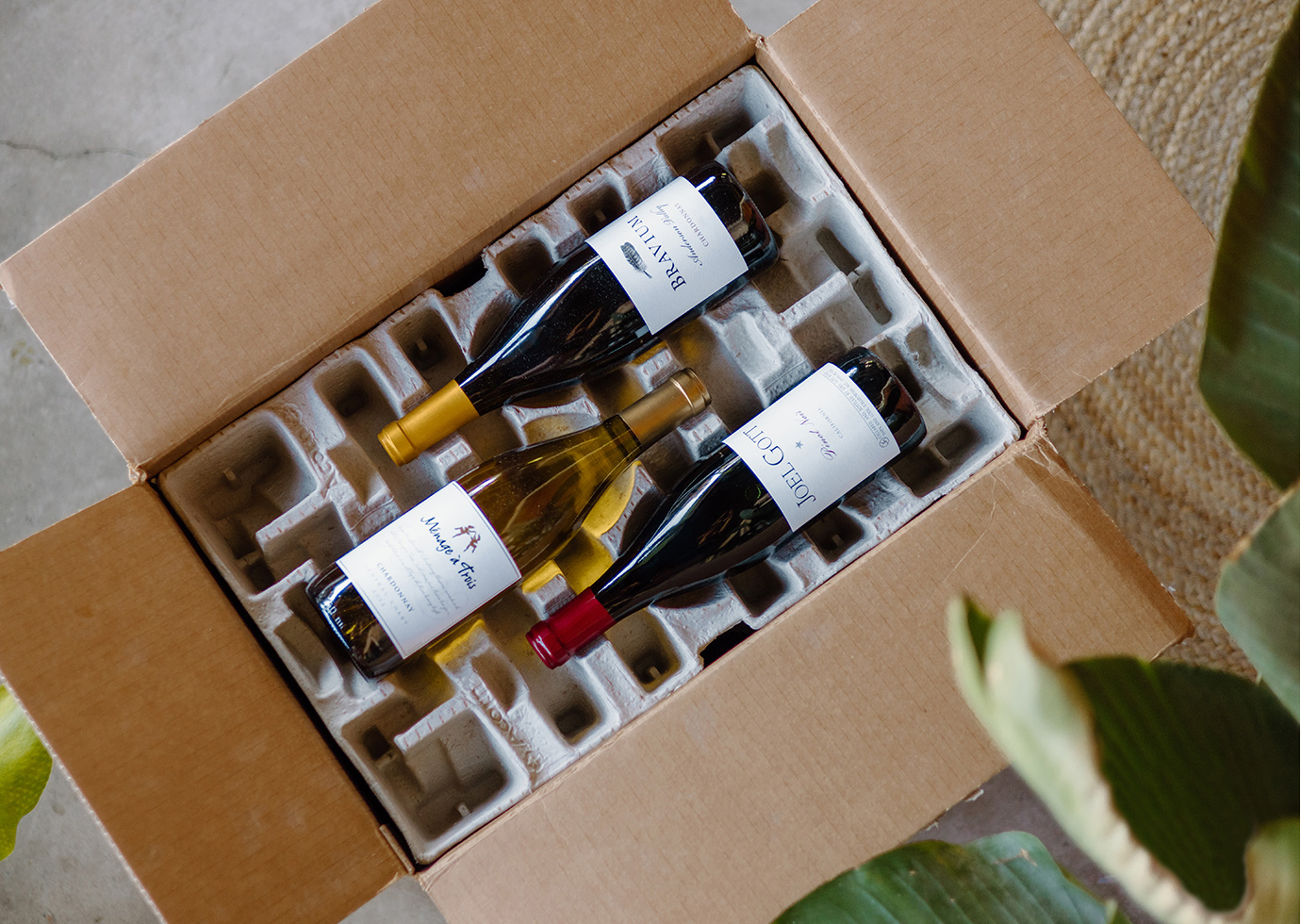 a One Stop Wine Shop wine club shipment in a carefully packed box on a living room floor next to a green potted plant. Learn more about our wine clubs