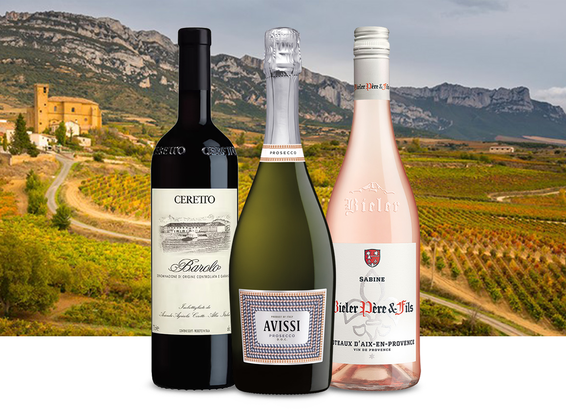 Lineup of European wines in front of a winery. Shop wines by region at One Stop Wine Shop.