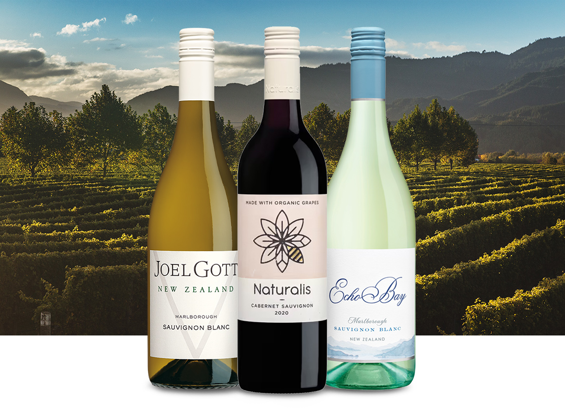 Lineup of Southern Hemisphere wines in front of a winery. Shop wines by region at One Stop Wine Shop.